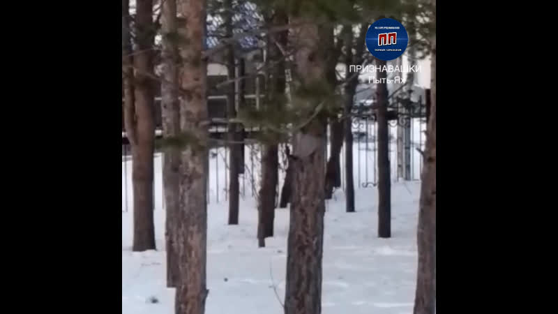 Пп пыть ях. Пп пыть ях