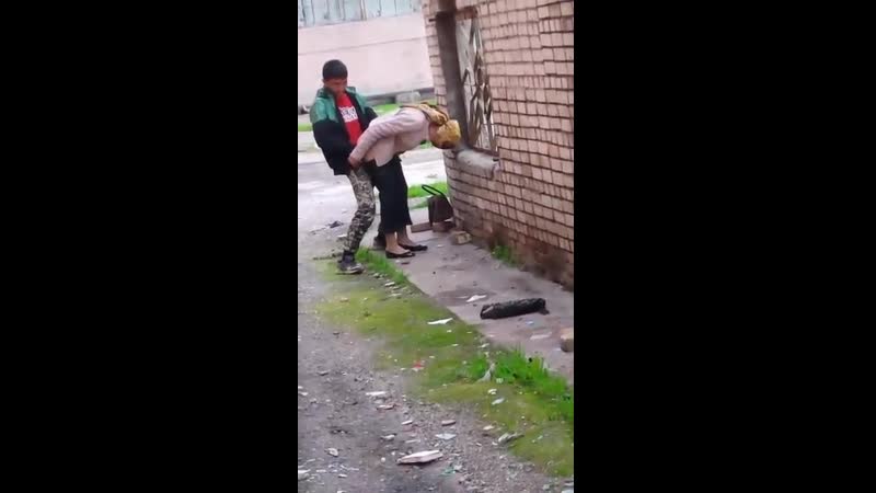 Тихоня дисинго