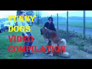 Best instant justice epic instant karma compilation люди получают по заслугам 2017 | best videos