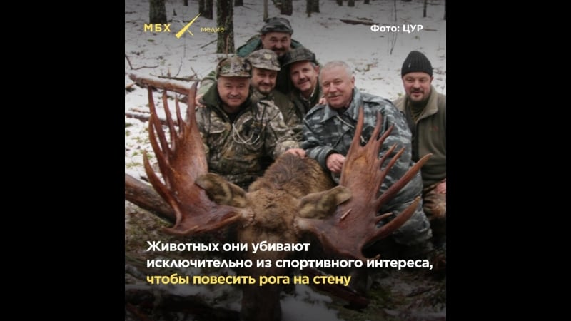 Где и с кем охотится замглавы администрации президента