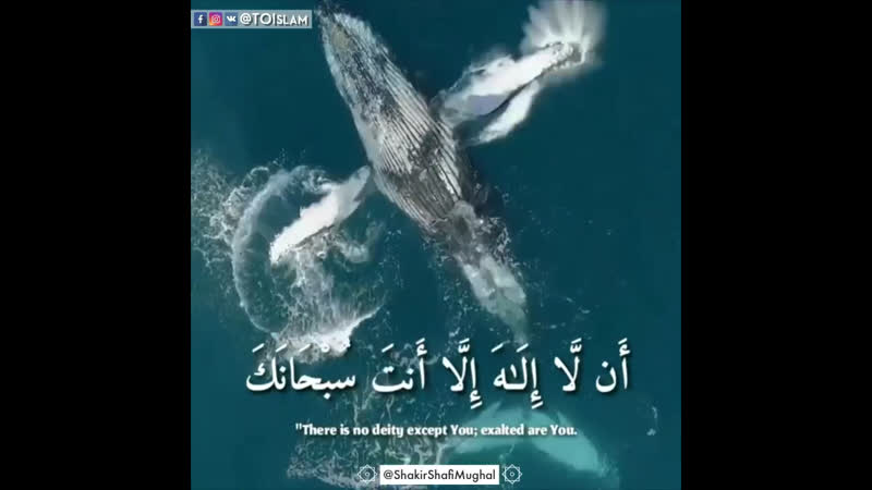 Surah al anbya'a 𖣔 سورة الأنبياء