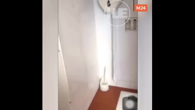 В школьном туалете в пензе убрали двери с кабинок москва 24