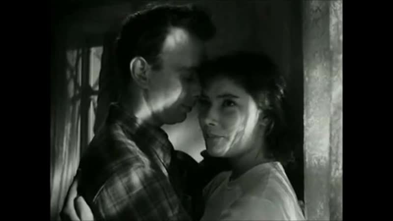 Из фильма "летят журавли"