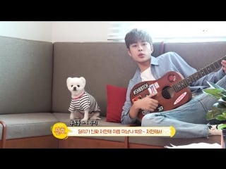 170910 @ 10cm pet | bts