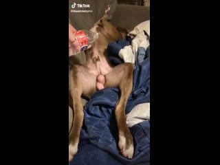 Приколы whatsapp +18