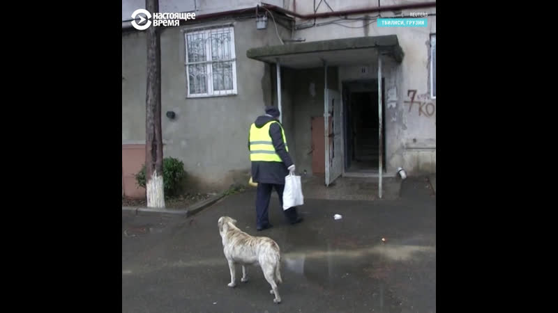 Как волонтеры разносят еду пенсионерам из за опасности коронавируса