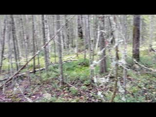 Vid 20200912 095116 mp4