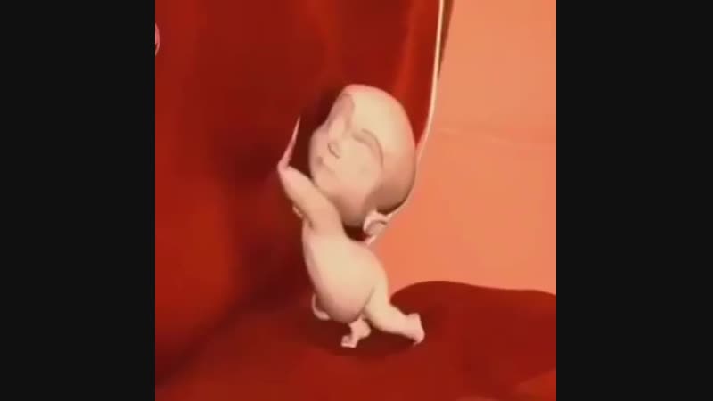 Мультфильм о родах