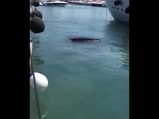 Good to see the wiper is on mercedes deep sea diver