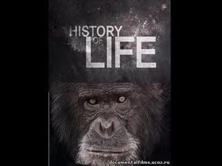 Ступени цивилизации история жизни / history of life серия 4 уходят одни, приходят другие / extinction an end and new beginning