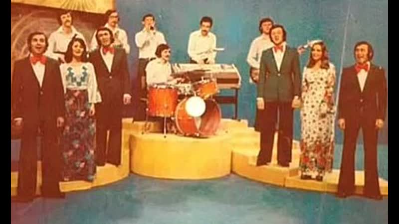 Вокально инструментальный ансамбль гая (1977)