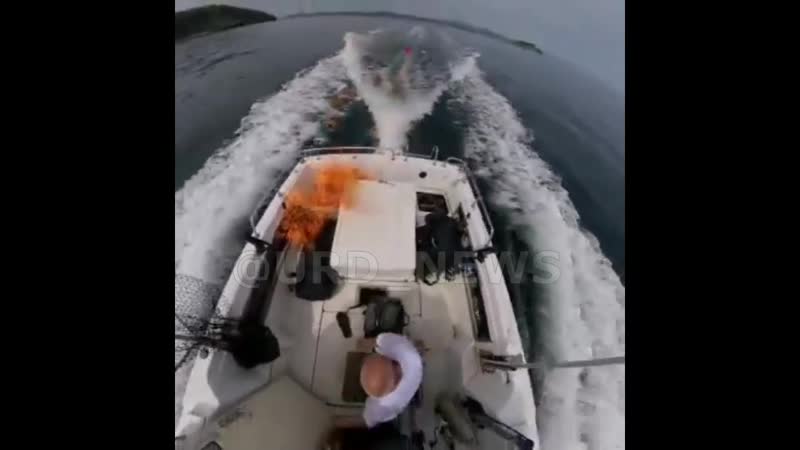 Приморские мужики снимали рыбалку, а получился фильм катастрофа