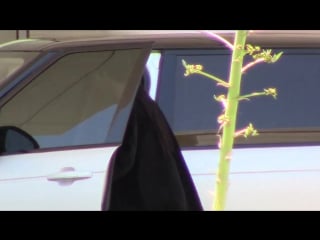 Exclusive (june 17) in canoga park, calif