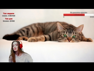 Руиним каточки в lol с викой