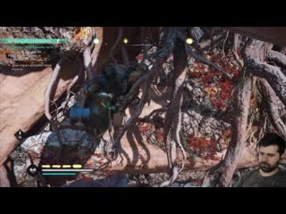 Заколдованный корень или лаги в assasin's creed valhalla