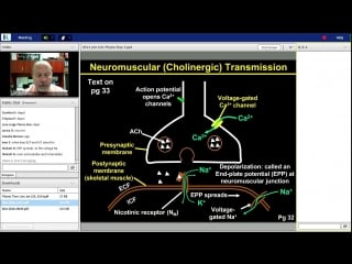 38th lecture kaplan step 1 ca physiology wilson march 3, 2014