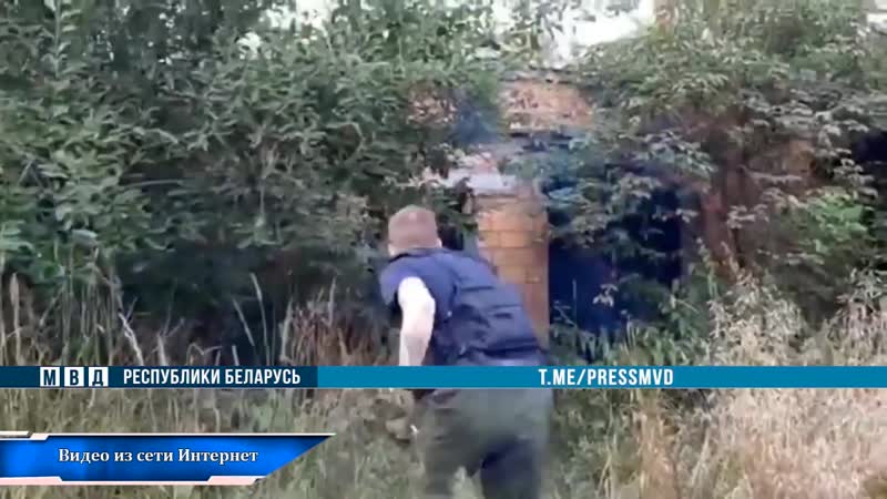 Лесной porn video – Мвд белоруссии нейтрализовало "лесной отряд «партизаны могилева»