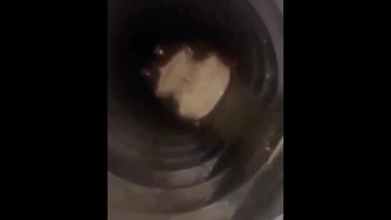 Сидим, отдыхаем