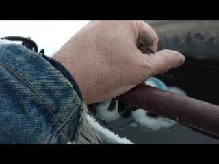 Мужчина спас примерзшего воробья, отогревая его своим дыханием