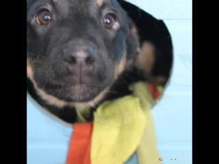 Slideshow 233 20180409 9mhqez mp4