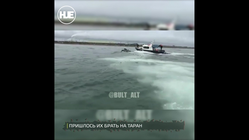 Работой porn video – В якутии поймали браконьеров за работой