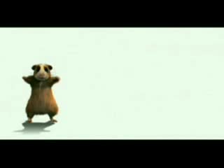 Морская свинья флексит под лизера