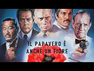 Il papavero è anche un fiore (1966)