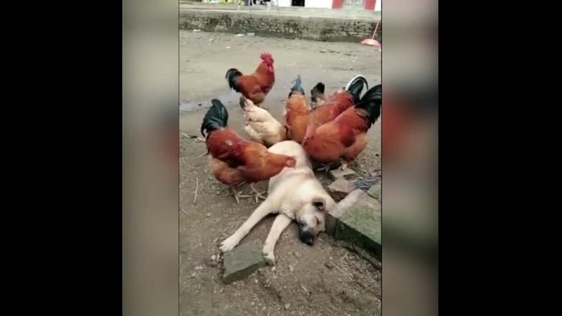 Точечный массаж))