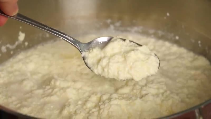 Käse schnell & einfach selbst herstellen hanuma kocht