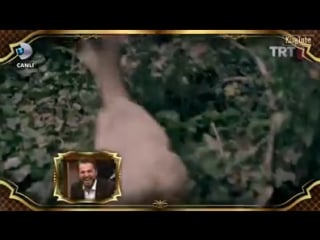 Httpsvideo frt3 1 xx fbcdn nethvideo xfp1vt42 1790 212388383 1529640790694974 1922645560 n