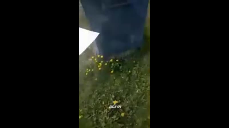 Косят траву ножницами
