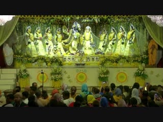 Radha madhava in their yellow vasant panchami dress