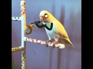 Движ в /insta/telega @wozzdooh