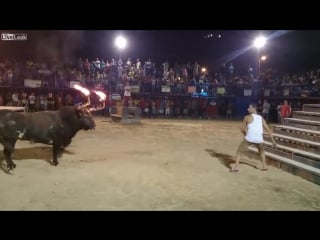 Довыёбывался