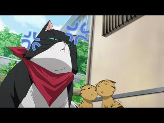 Nyan koi / кошачьи прихоти 1 серия