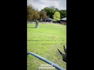 Alex with malte / ree safari park / x6