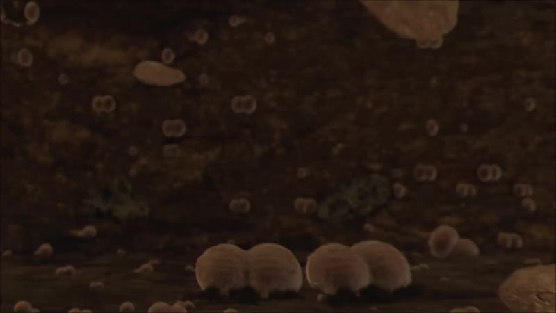 [lena kuka crew] то шо скетчи рустам рептилоид, тамби масаев, эмир кашоков, илья макар выпуск 4