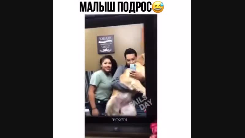 Милоты пост 🐶😍
