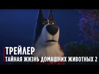 The secret life of pets 2 | the rooster trailer