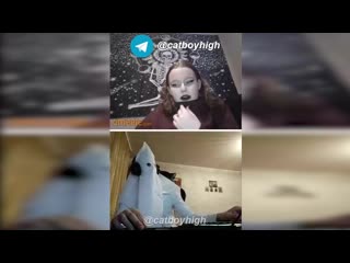 Любительница blm показала свой высокий интеллект