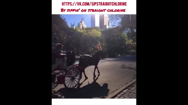 Джошуа дан горячий казахстанец | by "sippin' on straight chlorine"