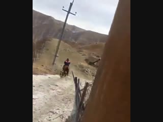 Наездница) хвостатая на хвосте))