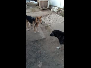 Vid 20201210 154023 mp4