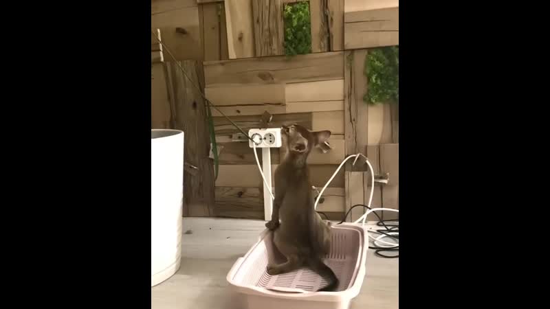 Никита рудаков