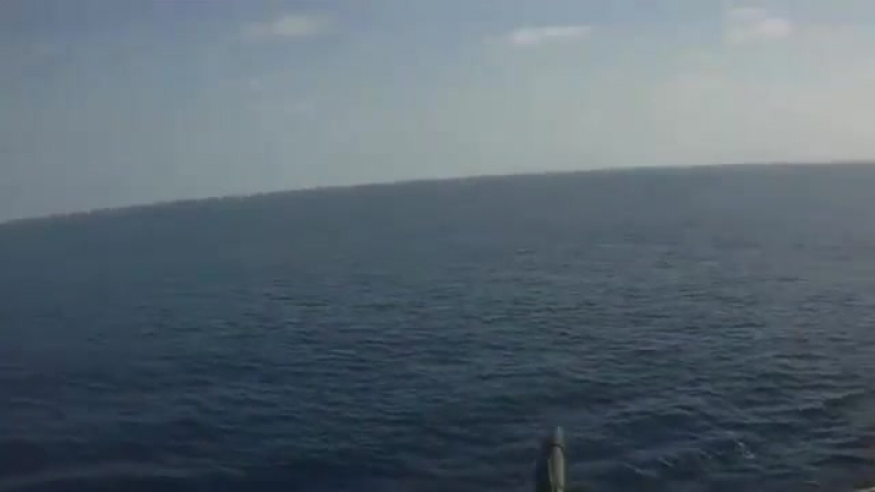 Сомалийские пираты против частной охраны корабля
