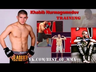 Khabib nurmagomedov training