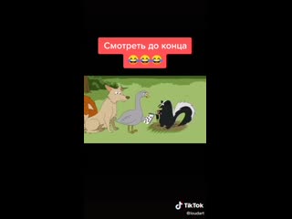 Video by заварка