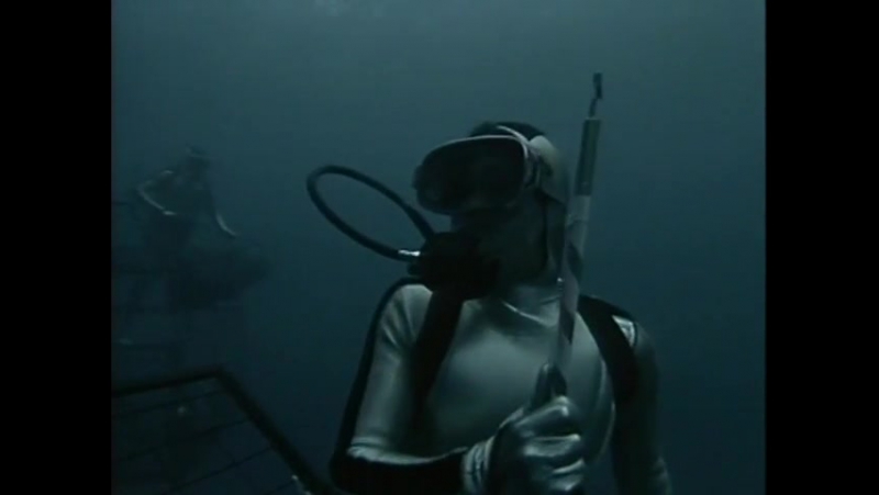 Повторное открытие мира #32 белая акула одинокий властелин моря