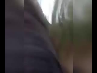 [мама, я поехал!] мужик пнул медведя!!