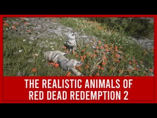 Realistic details of red dead redemption 2 porn rdr2